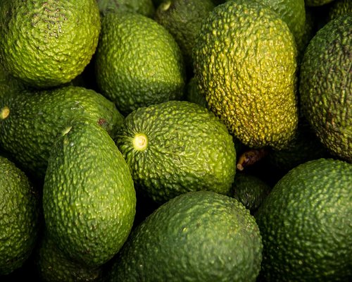 Fresh avocado and vegetables from a local market in Chile